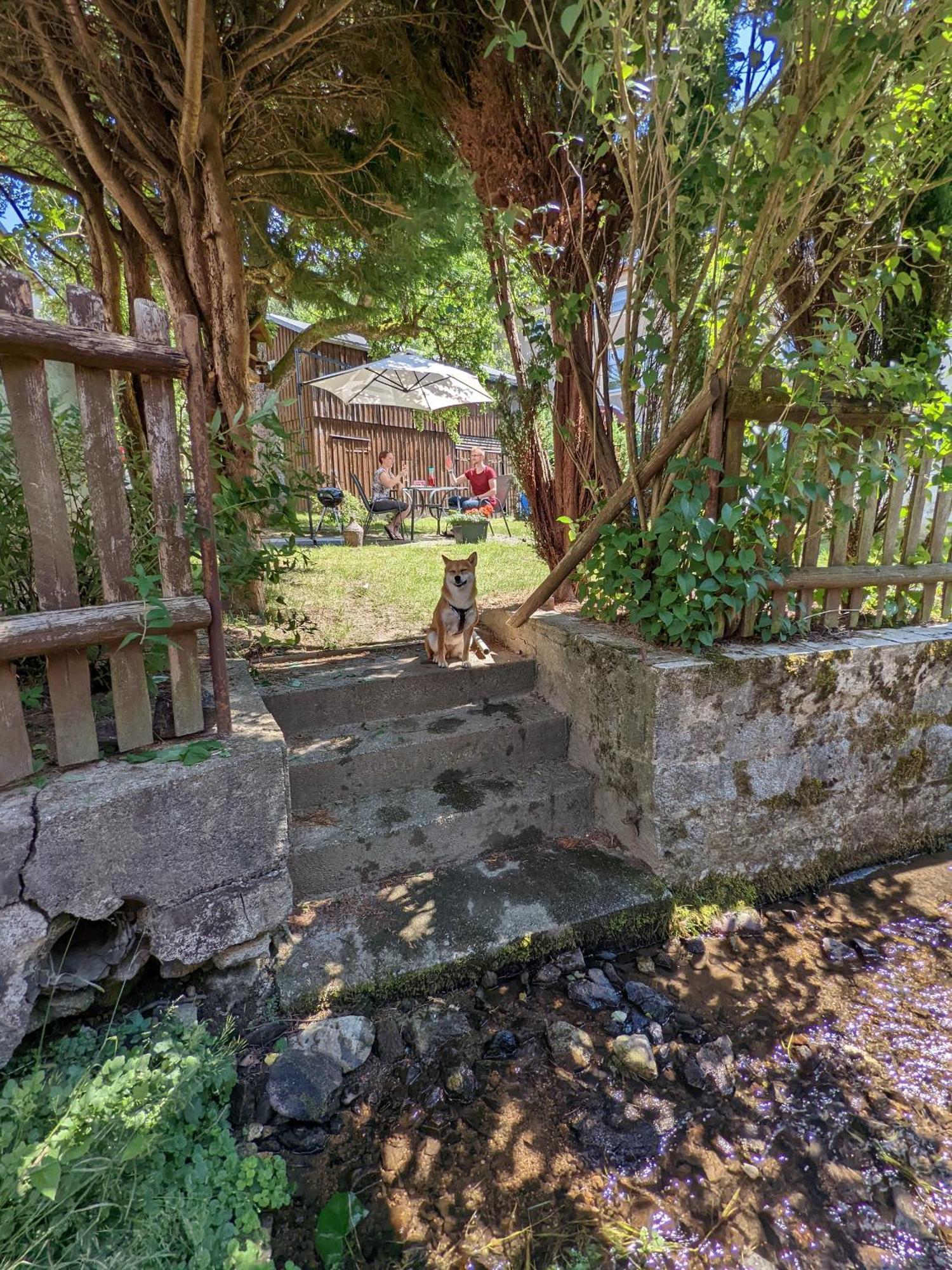 H2 - Urlaubsmagie - Garten, Pool, Terrasse, Grill Зебніц Екстер'єр фото